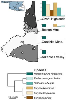 Family shapes microbiome differences in Oklahoma salamanders
